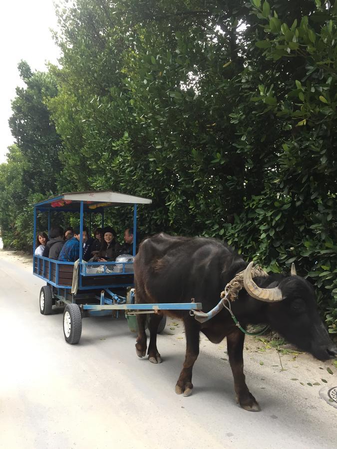 Sou Inn Motobu Ngoại thất bức ảnh